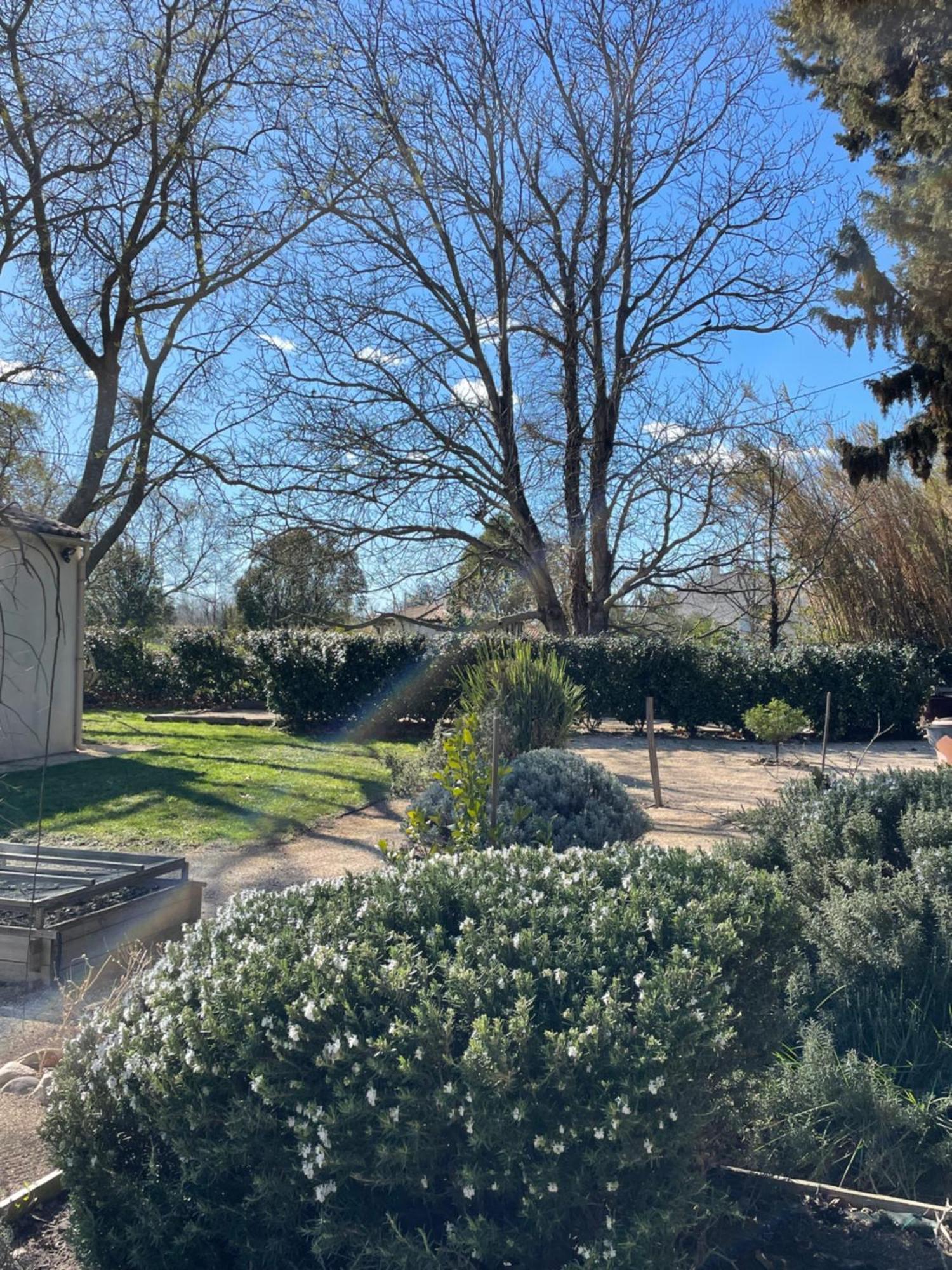 Bed and Breakfast Arles Campagne Location "La Campagn'Arles" Exterior foto
