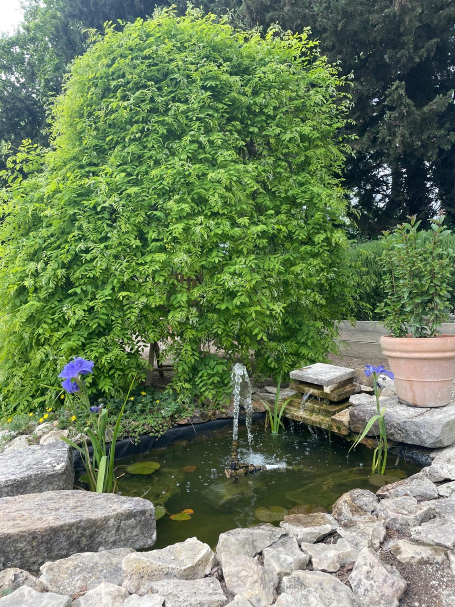 Bed and Breakfast Arles Campagne Location "La Campagn'Arles" Exterior foto